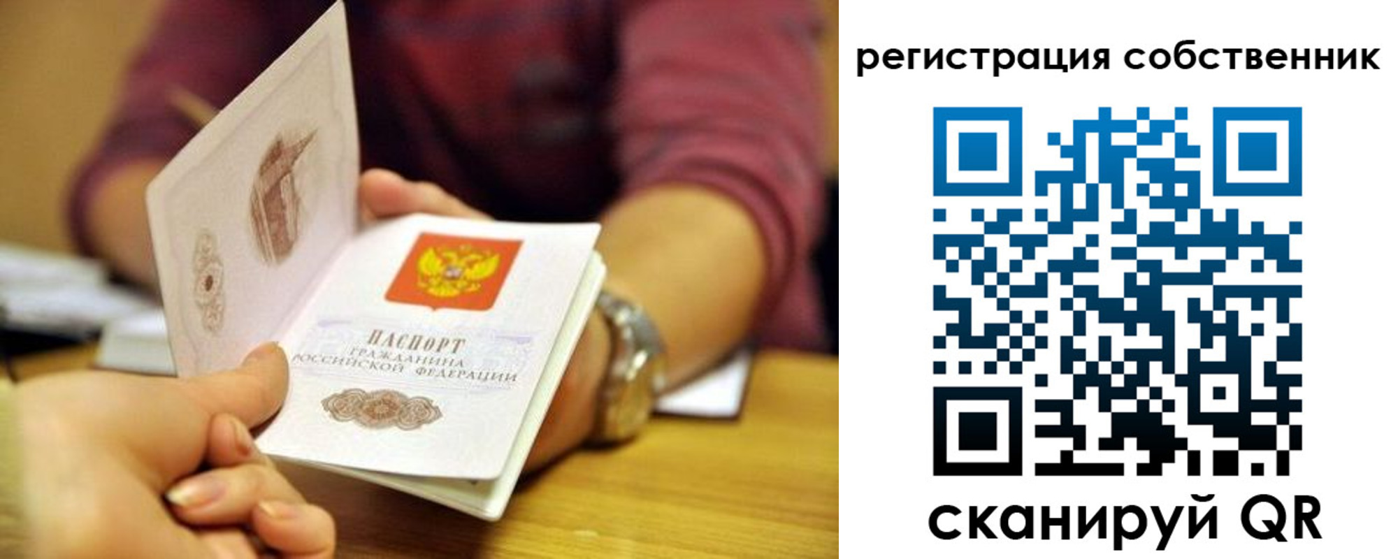 прописка гарантия в Новороссийске